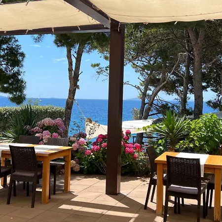 Ana 호텔 무르테르