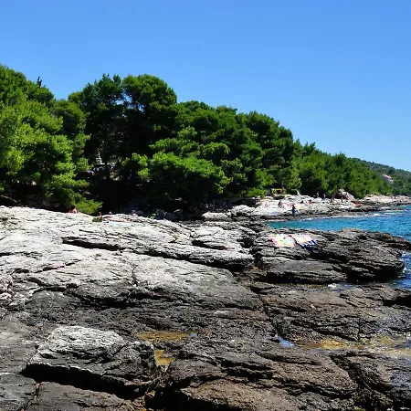 ホテル Ana ムルテル