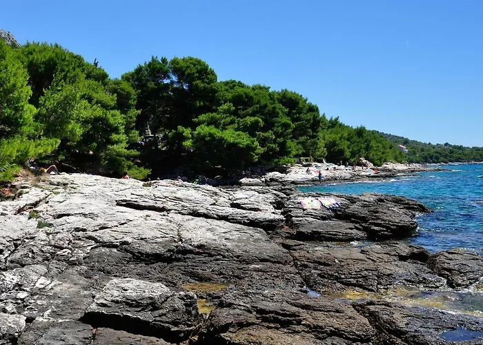 酒店 Ana 穆泰尔岛