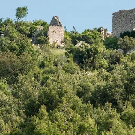 מלון Ana מורטר